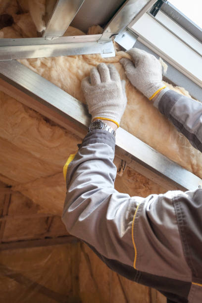 Best Geographic-Specific Insulation Services in Blue Earth, MN